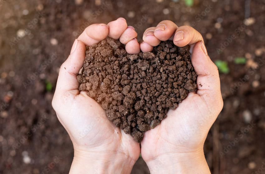 Just What is Regenerative Horticulture?